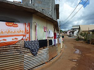 P1030347.JPG