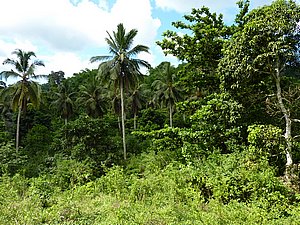 P1030352.JPG