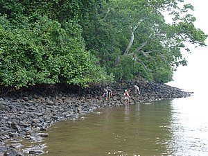 P1030417.JPG