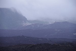 IMGP1219.JPG