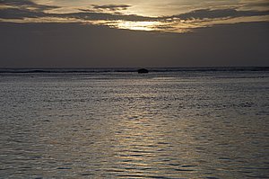 IMGP1736.JPG