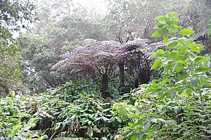 IMGP1930.JPG
