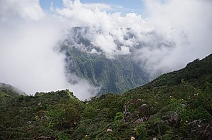 IMGP1948.JPG