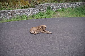 IMGP1981.JPG