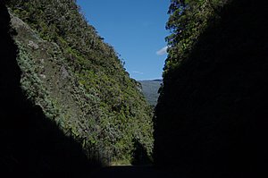 IMGP2090.JPG