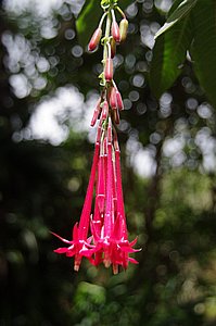 IMGP2131.JPG