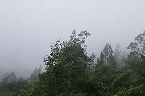 IMGP2342.JPG