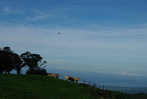 IMGP8645.JPG