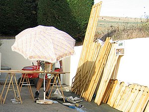 IMG_2338.jpg