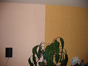 IMG_2339.jpg