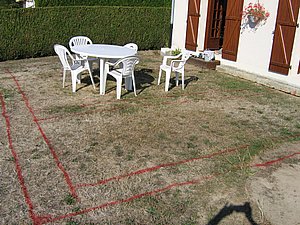 IMG_2343.jpg