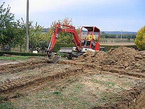 IMG_2350.jpg