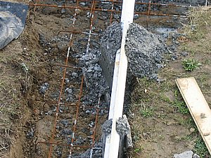 IMG_2374.jpg