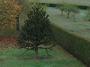 IMG_2379.jpg
