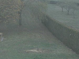 IMG_2380.jpg