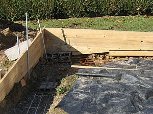 IMG_2393.jpg
