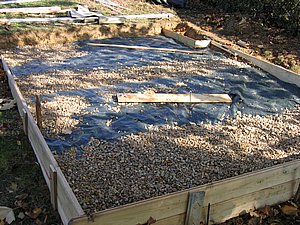 IMG_2399.jpg