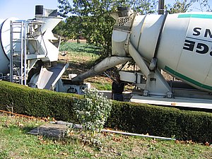 IMG_2417.jpg