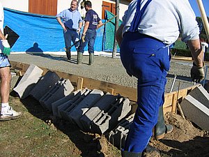 IMG_2433.jpg