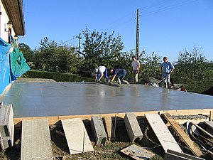 IMG_2445.jpg
