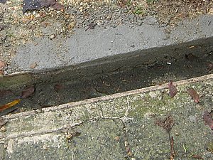 IMG_2457.jpg