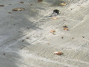 IMG_2458.jpg