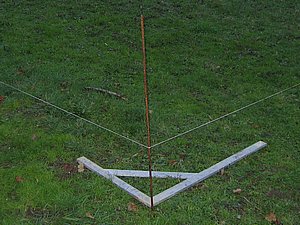 IMG_2513.jpg