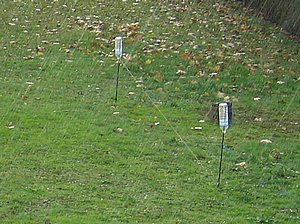 IMG_2517.jpg