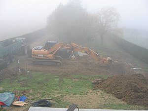 IMG_2542.jpg