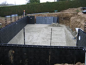 IMG_2572.jpg