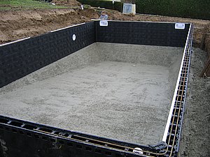 IMG_2586.jpg