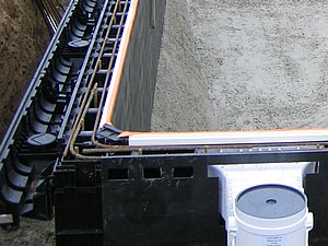 IMG_2588.jpg