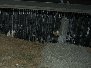 IMG_2622.jpg