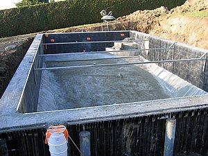 IMG_2632.jpg