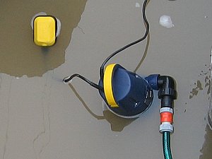 IMG_2643.jpg