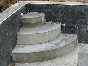 IMG_2645.jpg