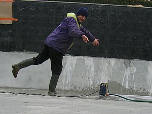 IMG_2646.jpg