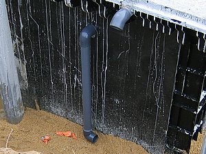 IMG_2815.jpg