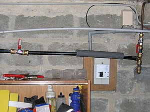 IMG_2817.jpg