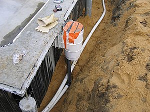 IMG_2821.jpg