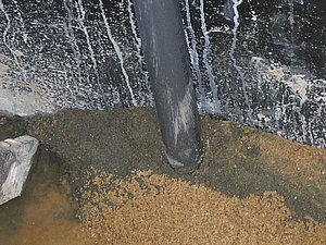 IMG_2834.jpg