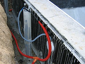 IMG_2839.jpg
