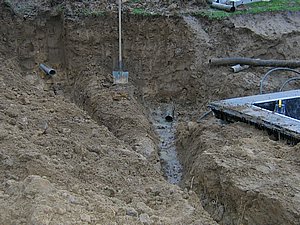 IMG_3003.jpg