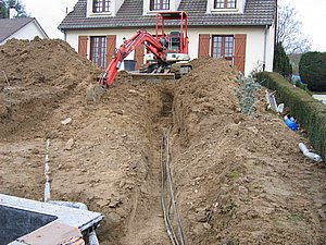IMG_3006.jpg