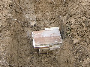 IMG_3012.jpg