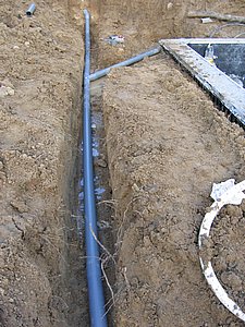 IMG_3017.jpg