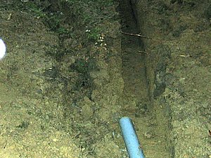 IMG_3053.jpg