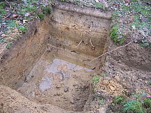 IMG_3072.jpg