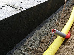 IMG_3100.jpg