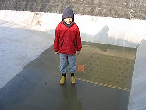 IMG_3119.jpg
